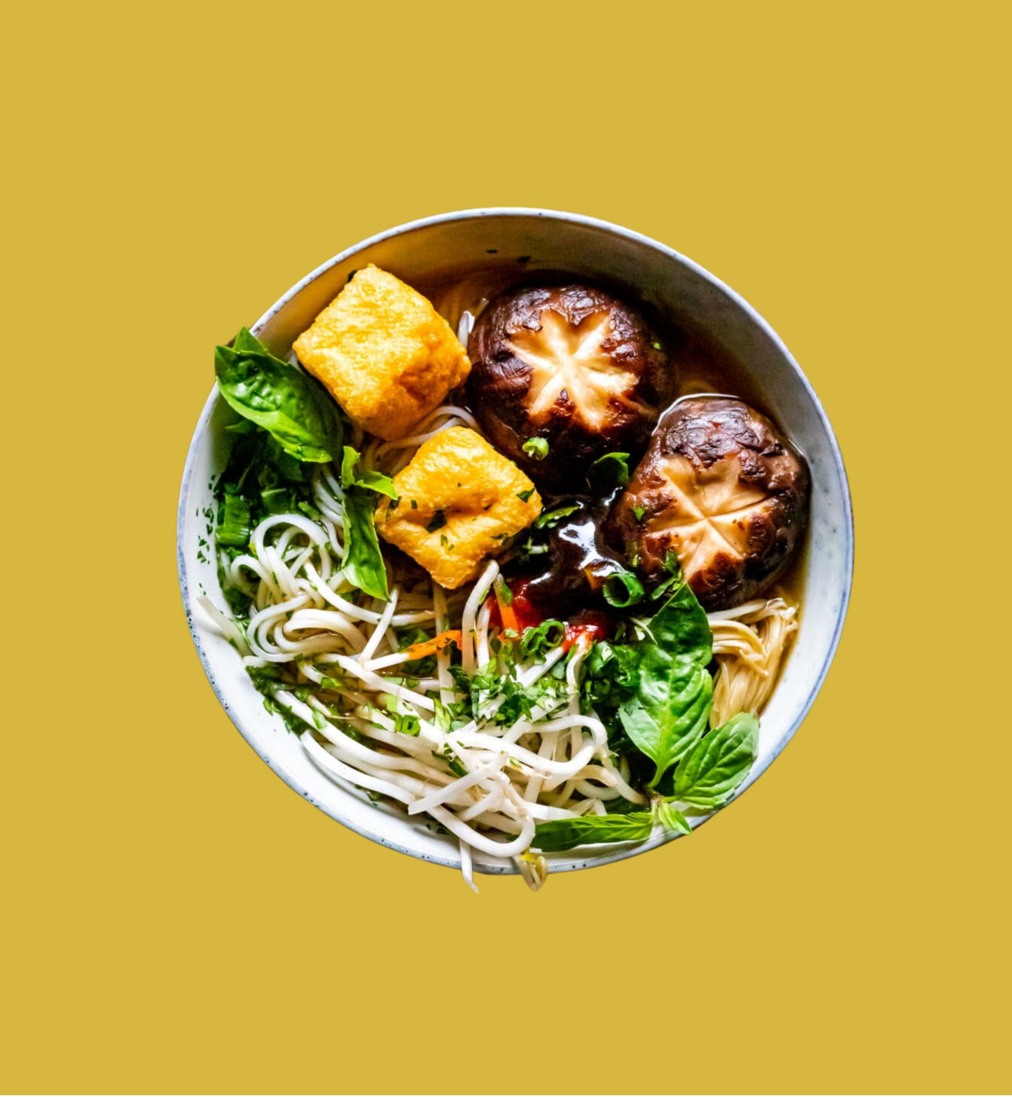 Phở Chay - Vegan Pho (2 serves)