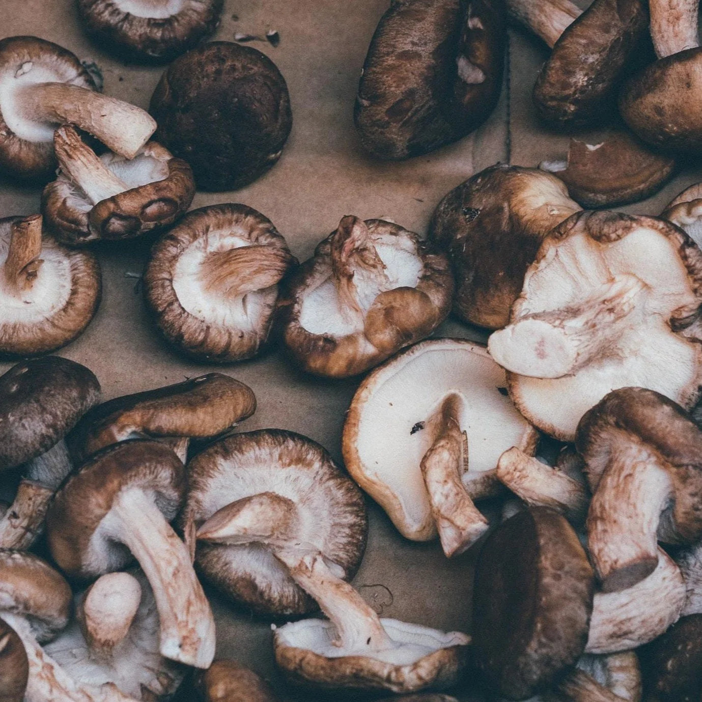 Shiitake Mushrooms